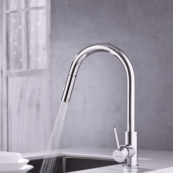 Mixer tap, Single lever, pull-out spray head with two functions