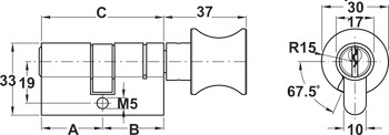 Profile cylinder with round thumbturn