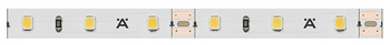 Đèn LED dây, Häfele Loox5 LED 2071, 12 V, đơn sắc, 8 mm